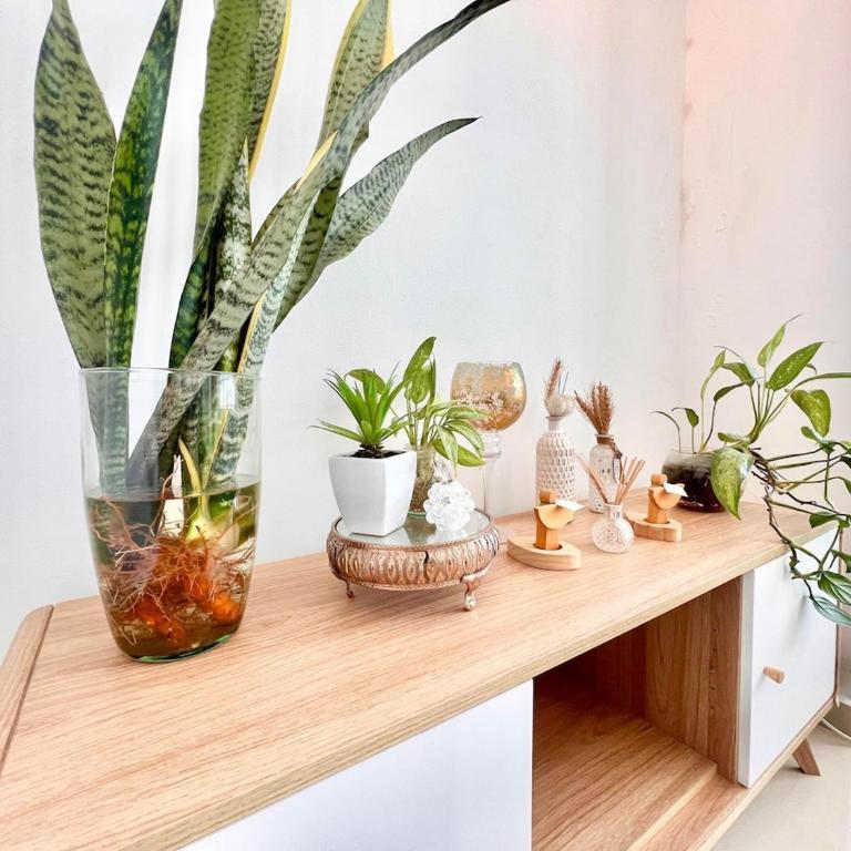 apartamento prodis 3A - Apartamento de 1 dormitorio - 6