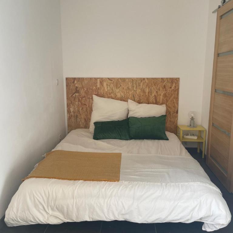 Chez Ambre et Lulu - Studio centre ville avec piscine - Appartement 1 Chambre - 12