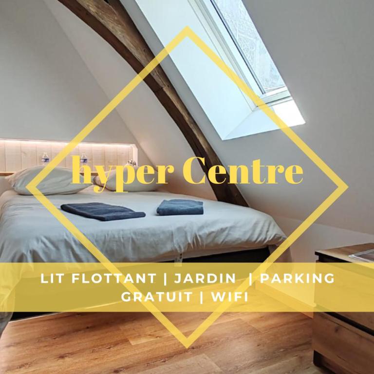 L'Hibou de la Cathédrale - Hyper Centre - Jardin - Wifi - Appartement 1 Chambre - 1