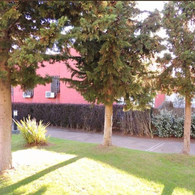 Studio port nature 2 - Apartment mit 1 Schlafzimmer - 2