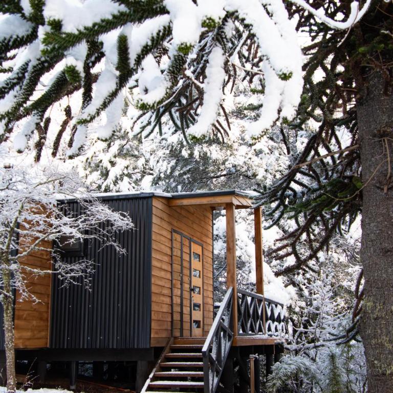 BordeArroyo Malalcahuello - One-Bedroom Chalet - 3