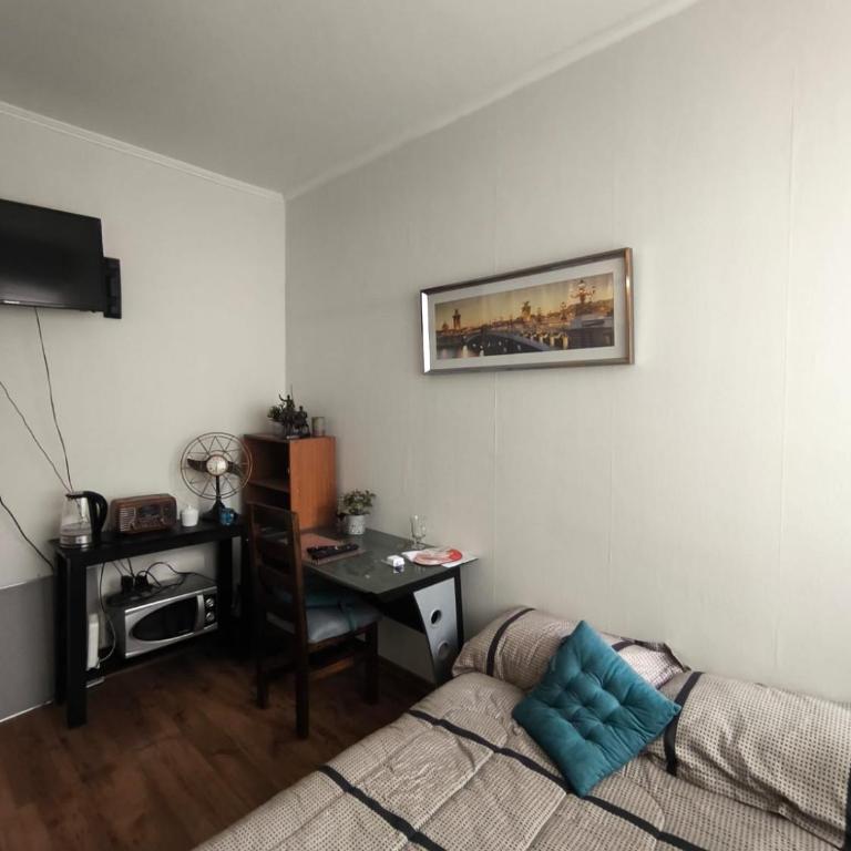 Lindisimo Departamento Oficina-Estudio en el corazón de Santiago - Apartamento de 1 dormitorio - 10