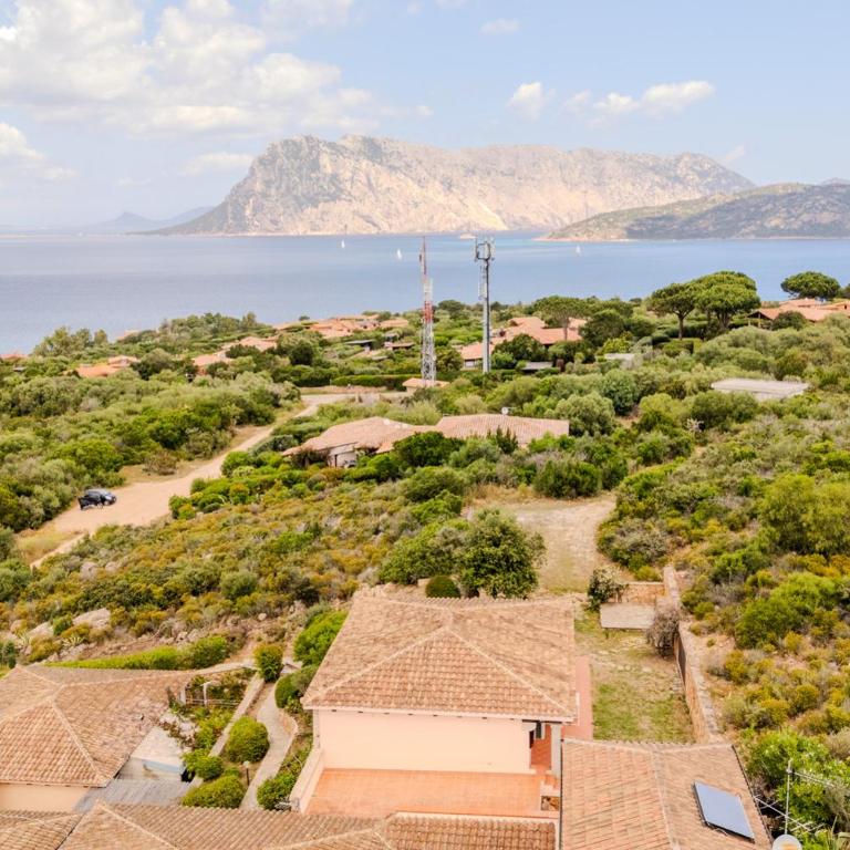 Villa Due Mari Coda Cavallo - Appartamento con 2 Camere da Letto - 1