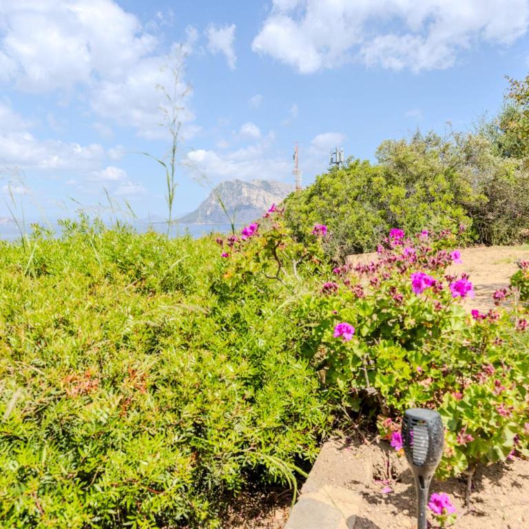 Villa Due Mari Coda Cavallo - Appartamento con 2 Camere da Letto - 20