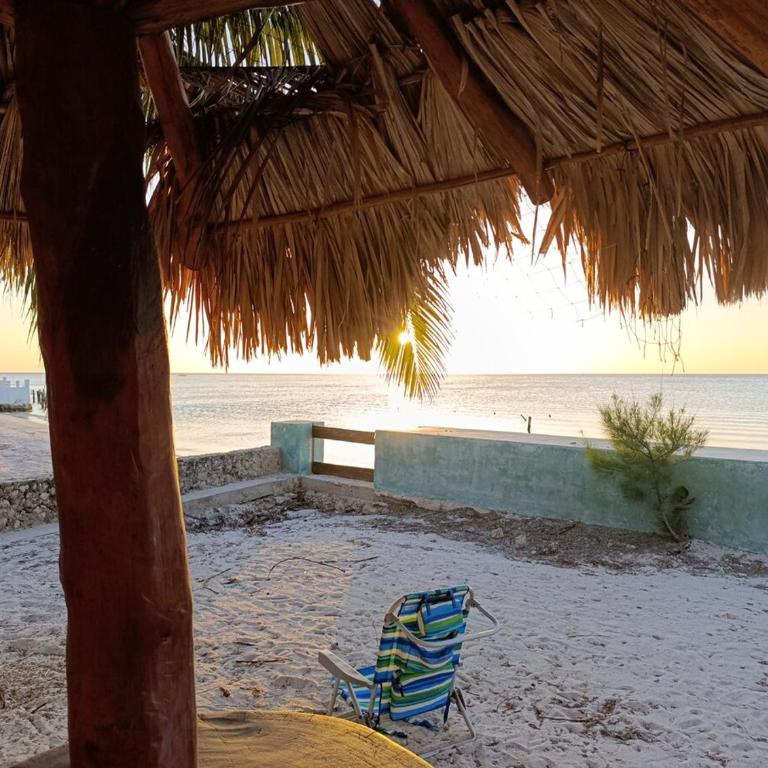 Bambu house Holbox beach front - Casa de 2 dormitorios - 34