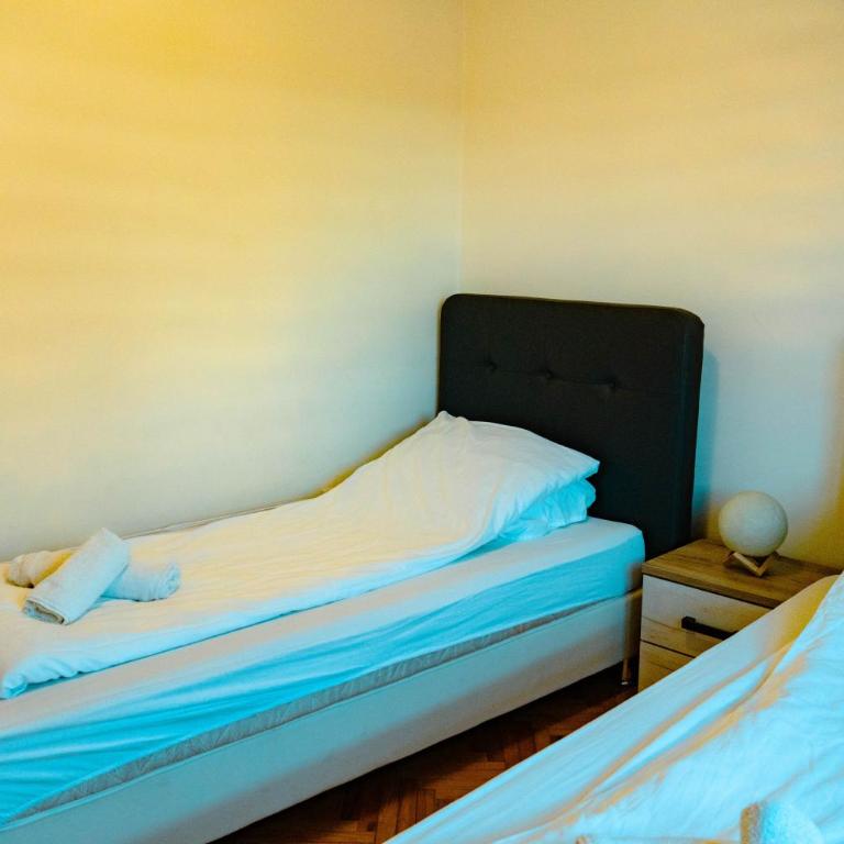 Deluxe apartments - Apartman sa Balkonom - 5