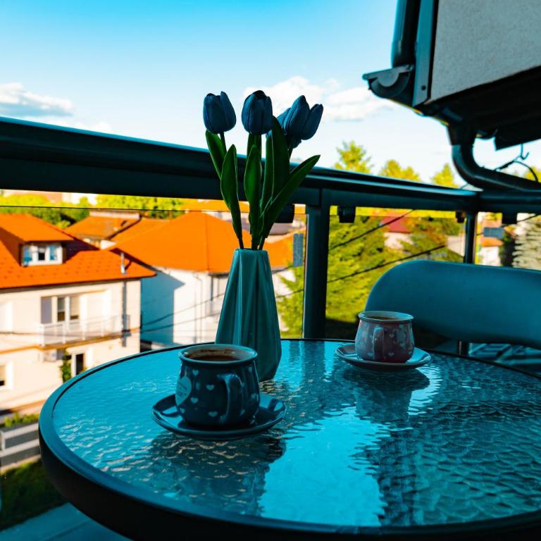 Deluxe apartments - Superior Apartman - 12