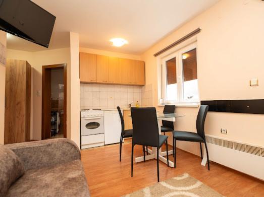Apartmani Votor - Apartman sa 1 Spavaćom Sobom - 15
