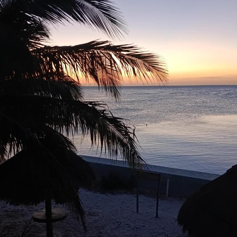 Bambu house Holbox beach front - Casa de 2 dormitorios - 5