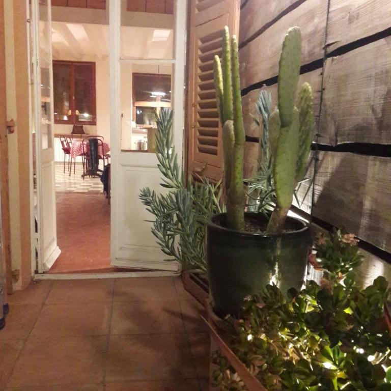 Studio-type loft au cœur de Roquebrune - Appartement 1 Chambre - 8