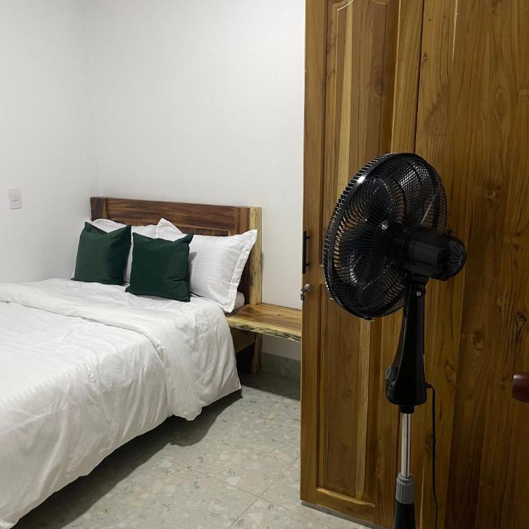 Casa Selva - Two-Bedroom Apartment - 6