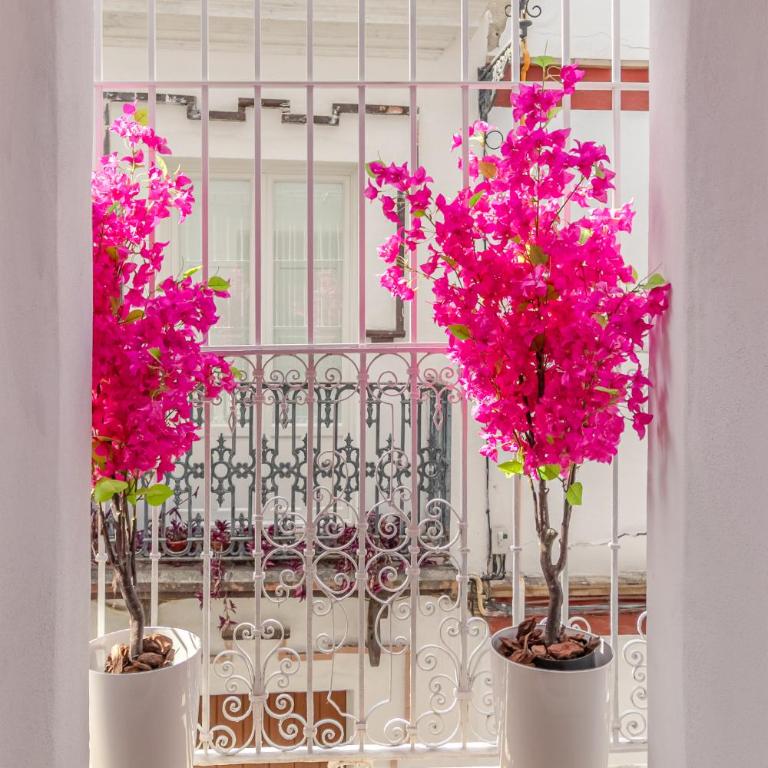 Feria Corner - Apartamento Deluxe - 7
