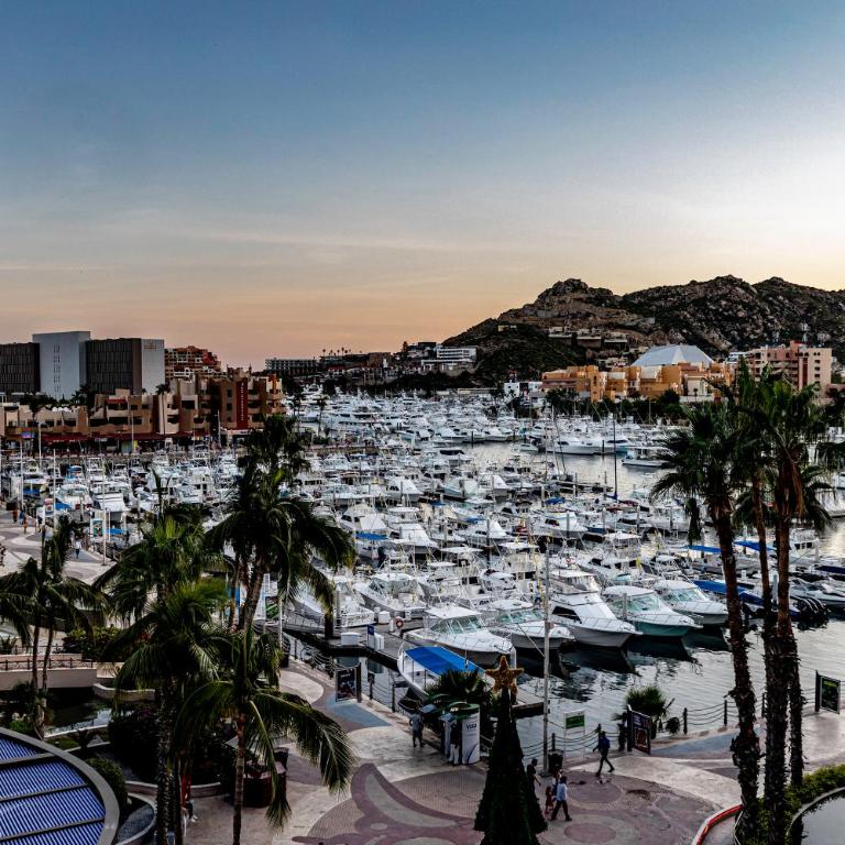 Cabo Marina Luxury Condo Jacuzzi & Terrace - Apartamento - 28