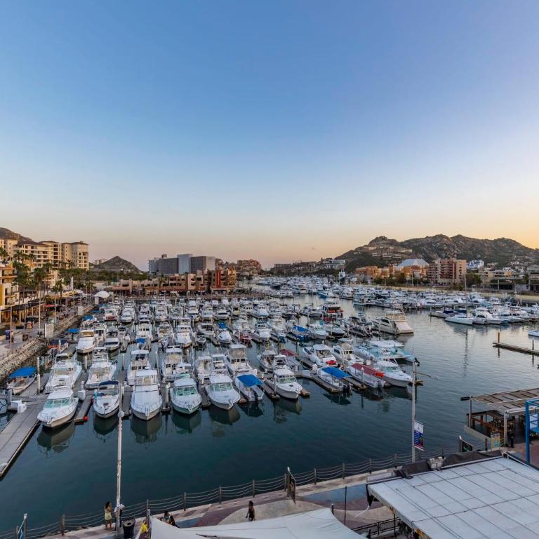 Cabo Marina Luxury Condo Jacuzzi & Terrace - Apartamento - 30