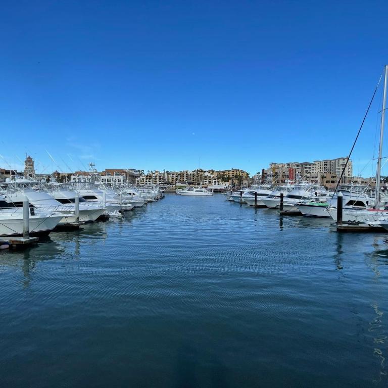 2 BR Cabo Marina Walk to Beach & Private Jacuzzi - Apartamento - 27