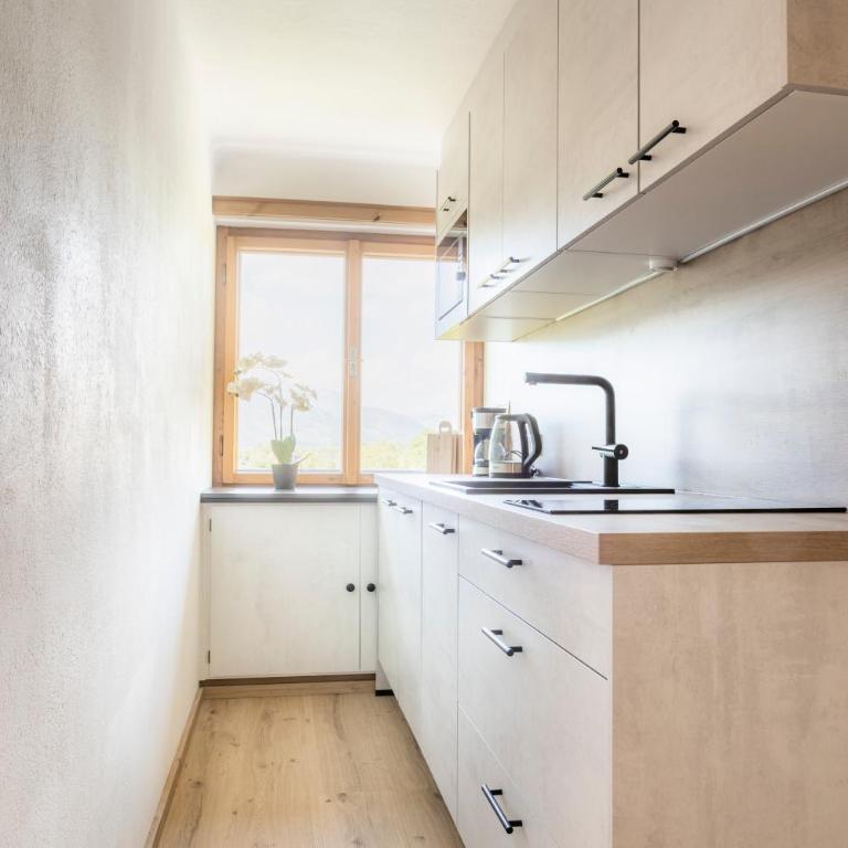 Ferienwohnungen Windischlehen am Zeller See - Apartment mit 1 Schlafzimmer - 2