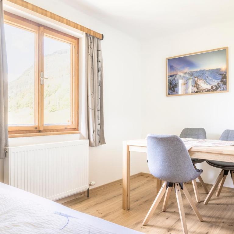 Ferienwohnungen Windischlehen am Zeller See - Apartment mit 1 Schlafzimmer - 5