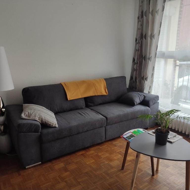 Appartement spacieux cosy en hypercentre proximité Cathédrale, Coliseum - Appartement 2 Chambres - 2