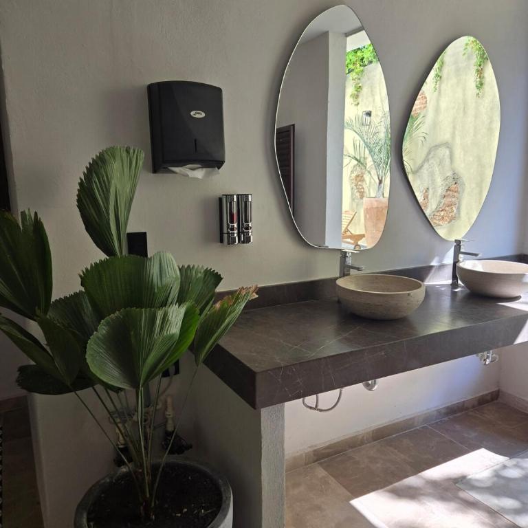Hermoso Departamento y ubicación Perfecta! - Two-Bedroom Apartment - 24