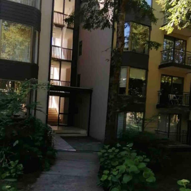 Nice and comfortable apartment in Pucon - Apartamento de 1 dormitorio - 12