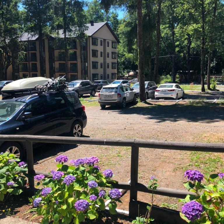 Nice and comfortable apartment in Pucon - One-Bedroom Apartment - 22