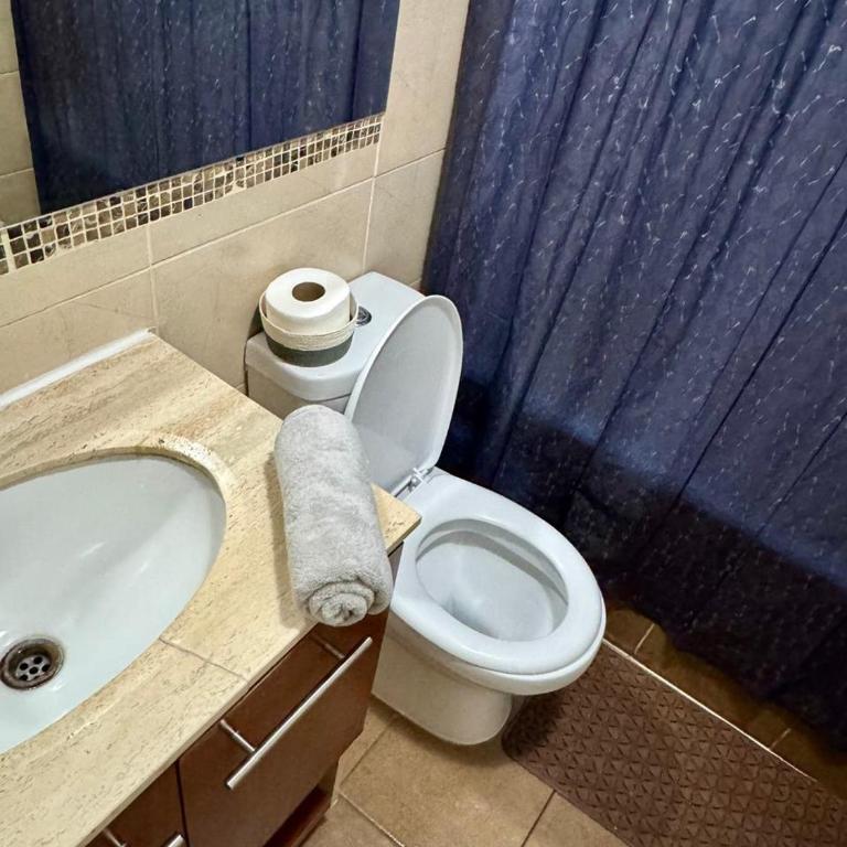 Apartamentos Orquídea Suite - Apartamento de 1 dormitorio - 2