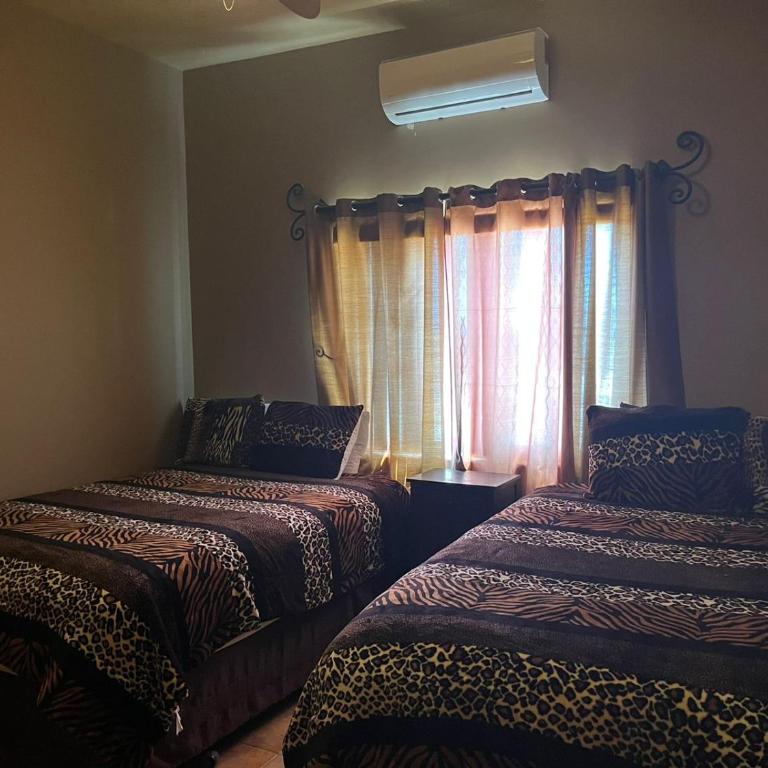 Casa Cupulas - Three-Bedroom House - 11