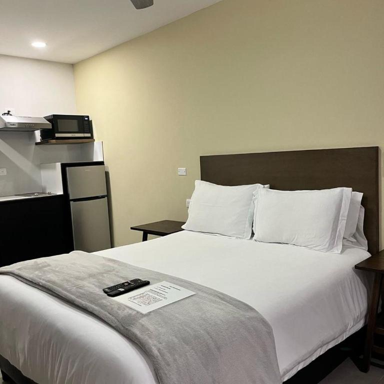 Casa Alameda en centro de Monterrey - One-Bedroom Apartment - 5