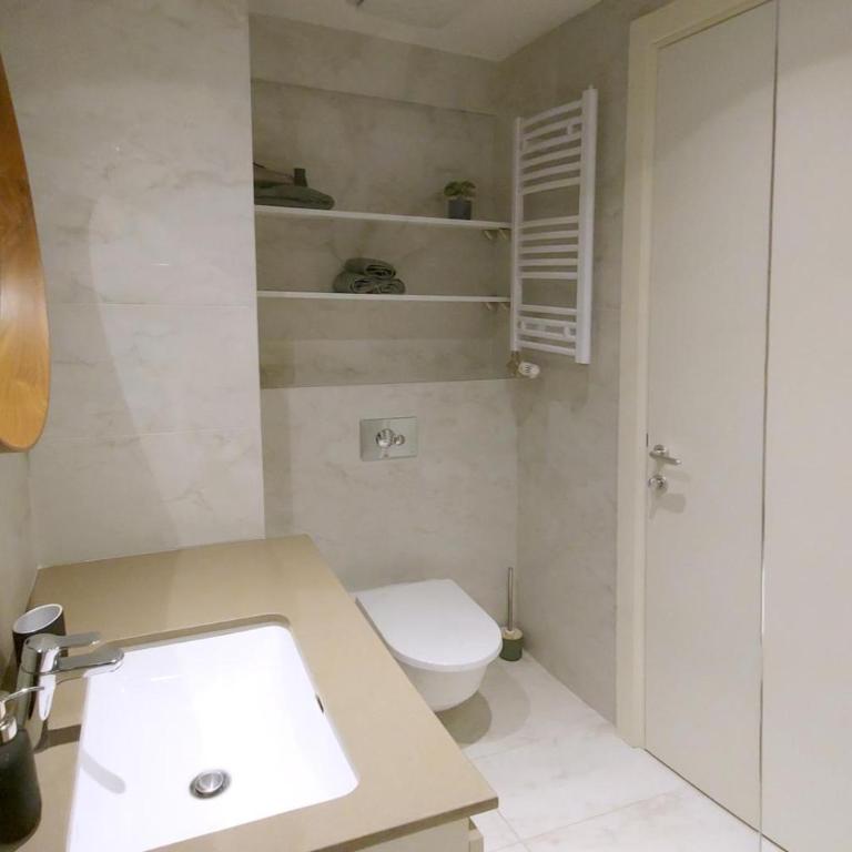 The Belgrade Heights - Apartman sa 1 Spavaćom Sobom - 9
