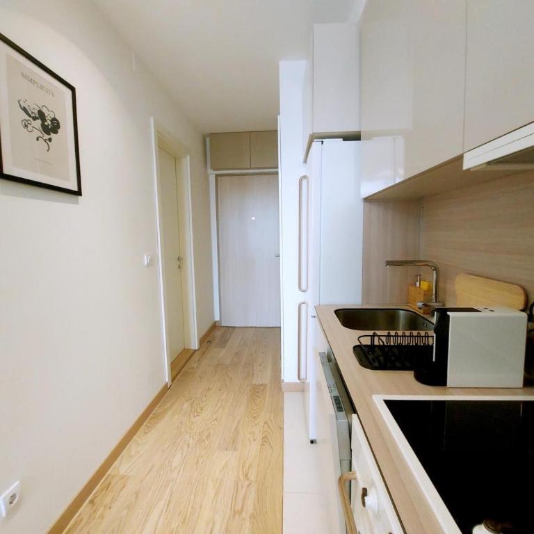 The Belgrade Heights - Apartman sa 1 Spavaćom Sobom - 10