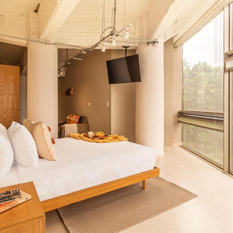 Kukun Insurgentes Roma - Delux Apartment One bedroom Apartment - 4