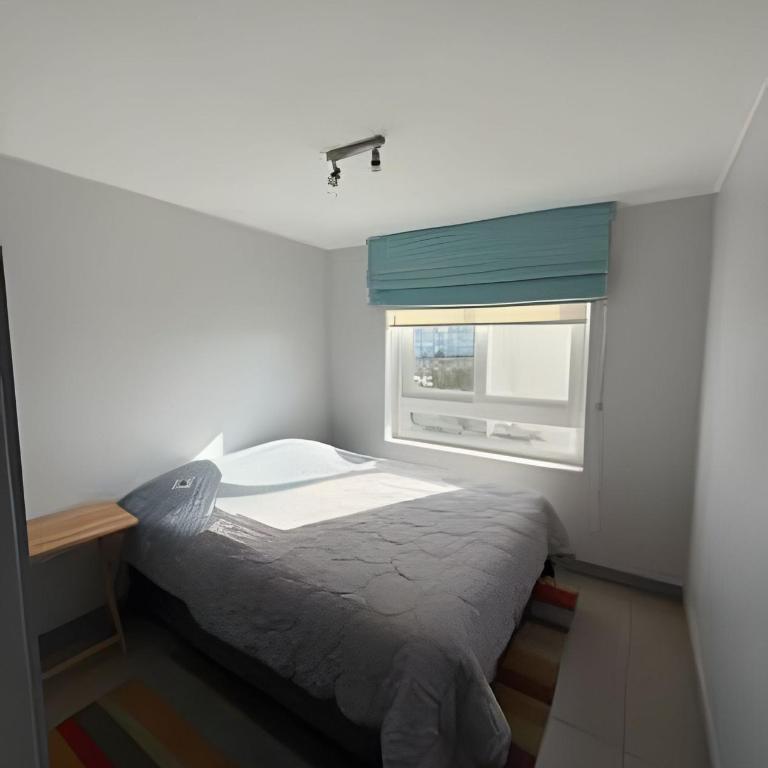 Laguna playa marina 312 - Apartamento - 9