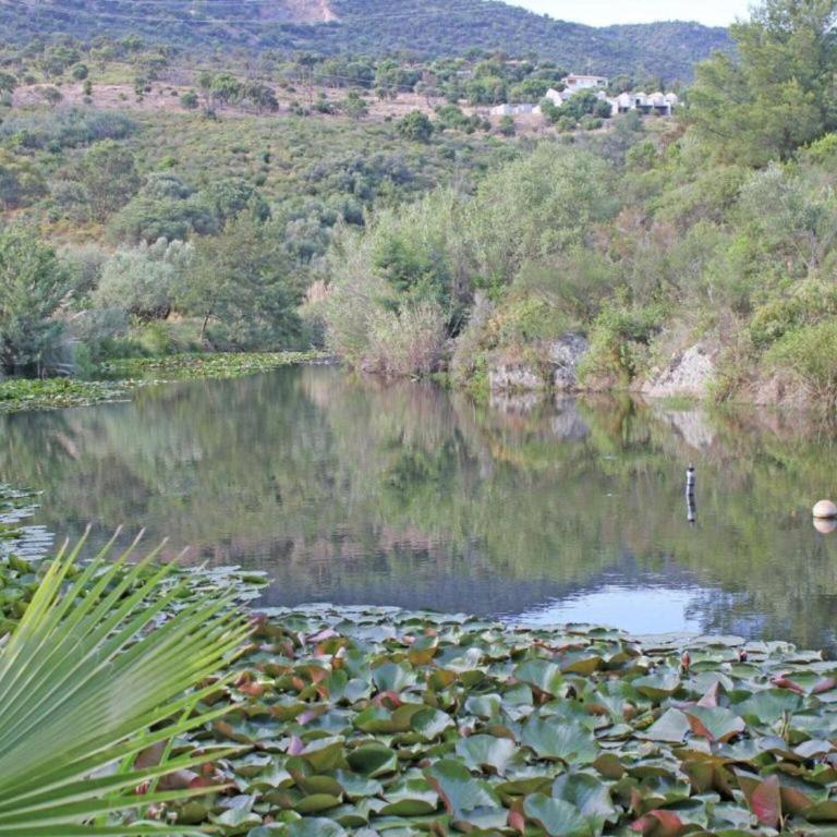 Holiday Home in Bormes near Beaches & Pool - Maison de Vacances 2 Chambres - 33