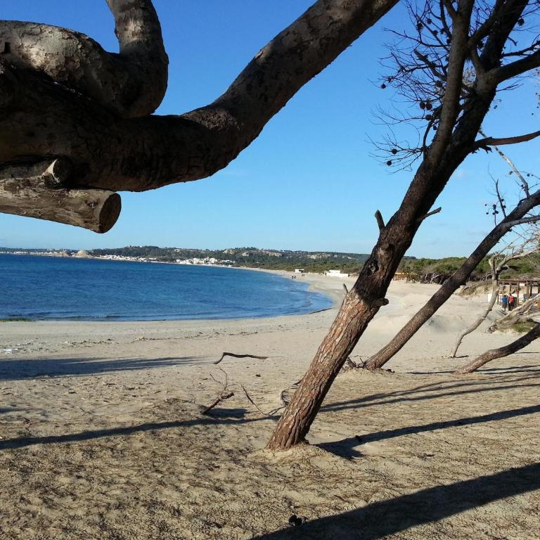 Apartment in Rivabella near the Beach - Two-Bedroom Apartment - 20