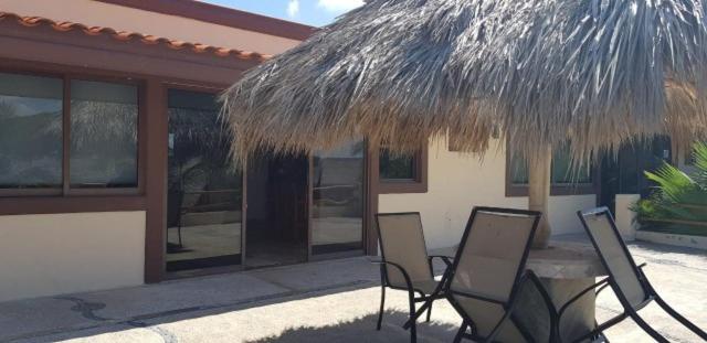 Punta cerritos - One-Bedroom Apartment - 7
