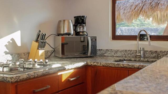 Punta cerritos - One-Bedroom Apartment - 11
