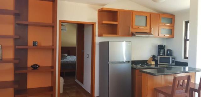 Punta cerritos - One-Bedroom Apartment - 17