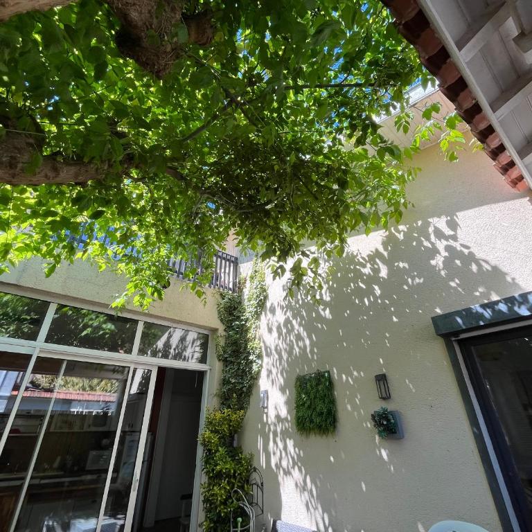 Arcachon - Maison T4 à Deux Pas de la Plage - 6 Pers - FR-1-319-615 - Casa Vacanze - 19