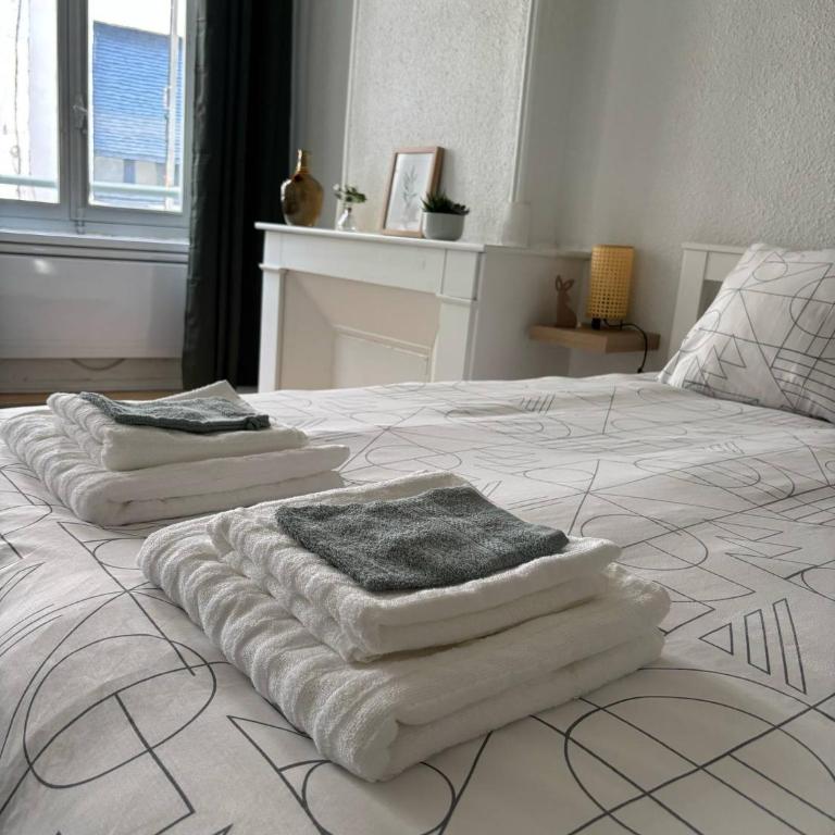 Les instants de Dax - Au coeur des thermes - Appartamento Deluxe con 1 Camera da Letto e Vista Città - 17