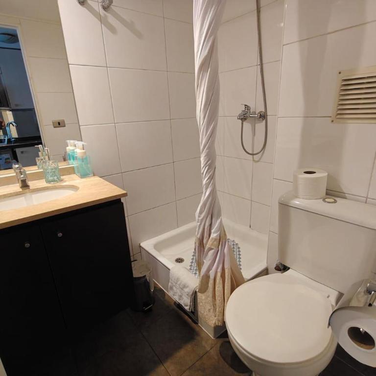 Un bombón en Santiago centro - Apartamento de 1 dormitorio - 14
