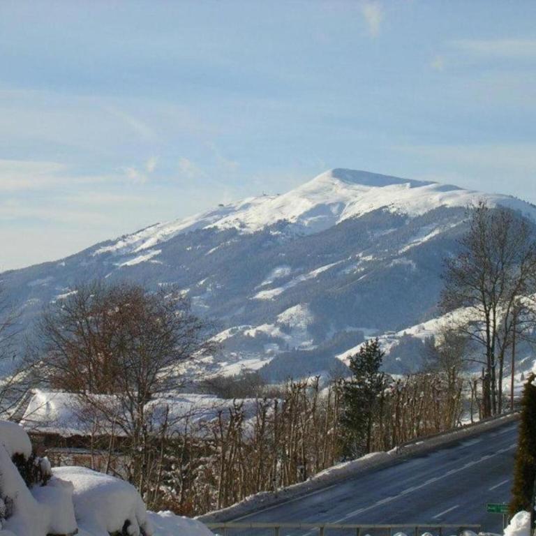 Flat in Mittersill near Ski Lift - Apartment mit 2 Schlafzimmern - 34