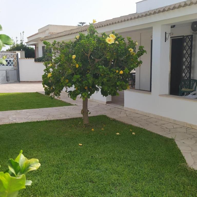 Casa Marina Maltese via ucca marina SANTA MARIA DEL FOCALLO ISPICA - Haus mit 5 Schlafzimmern - 6