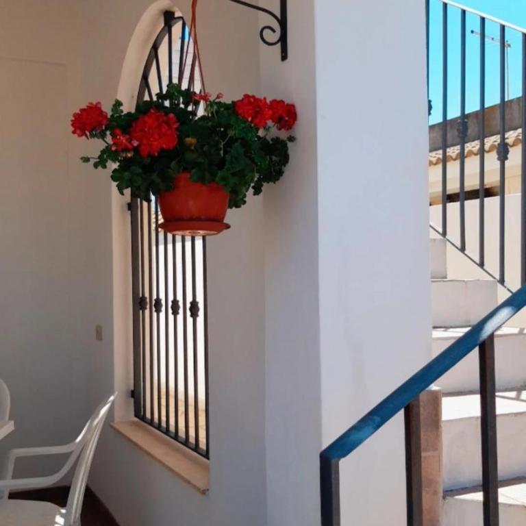 Casa Marina Maltese via ucca marina SANTA MARIA DEL FOCALLO ISPICA - Haus mit 5 Schlafzimmern - 12