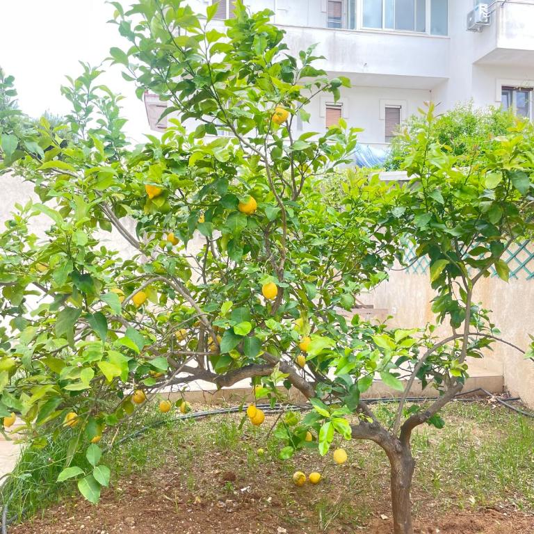 Mar Ville - Appartamento con 2 Camere da Letto - 19