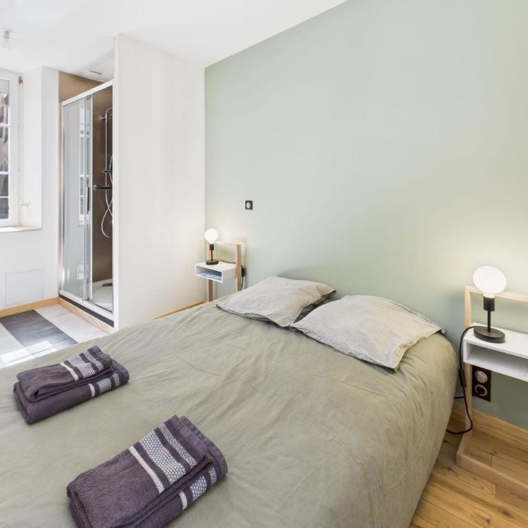 Chic T2 rénové au cœur de Clermont-Ferrand à 2 min de Jaude ! - Appartement - 6