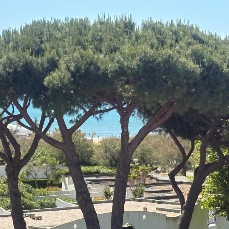 Couchant Cosy studio, terrasse couverte face à la mer, clim, parking, wifi - Apartment mit 1 Schlafzimmer, Balkon und Meerblick - 16