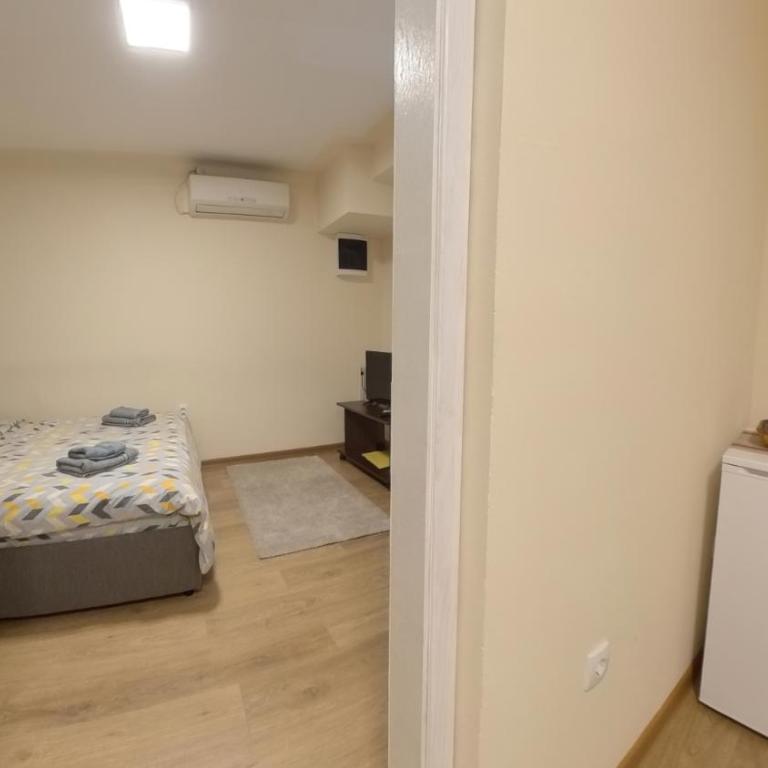 Center Point apartment - One-Bedroom Apartment - 4