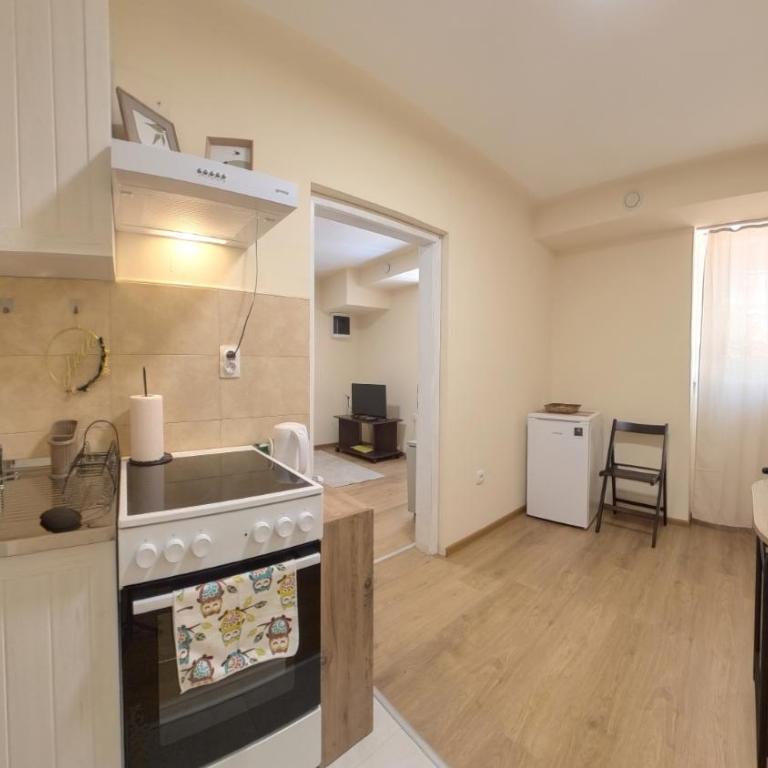 Center Point apartment - One-Bedroom Apartment - 9