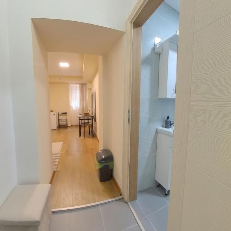 Center Point apartment - One-Bedroom Apartment - 13