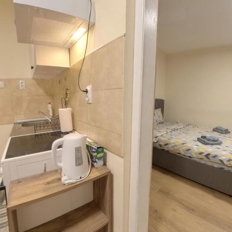 Center Point apartment - One-Bedroom Apartment - 8